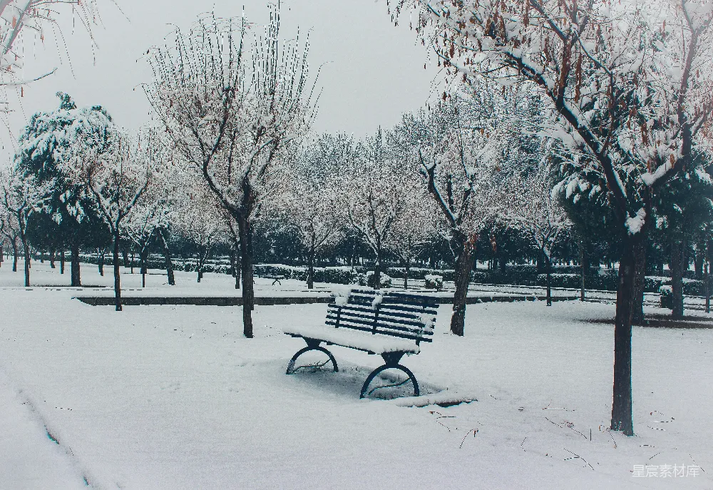 高清摄影 冬季 雪景 公园 自然 宁静 冬日雪景中的静谧长椅