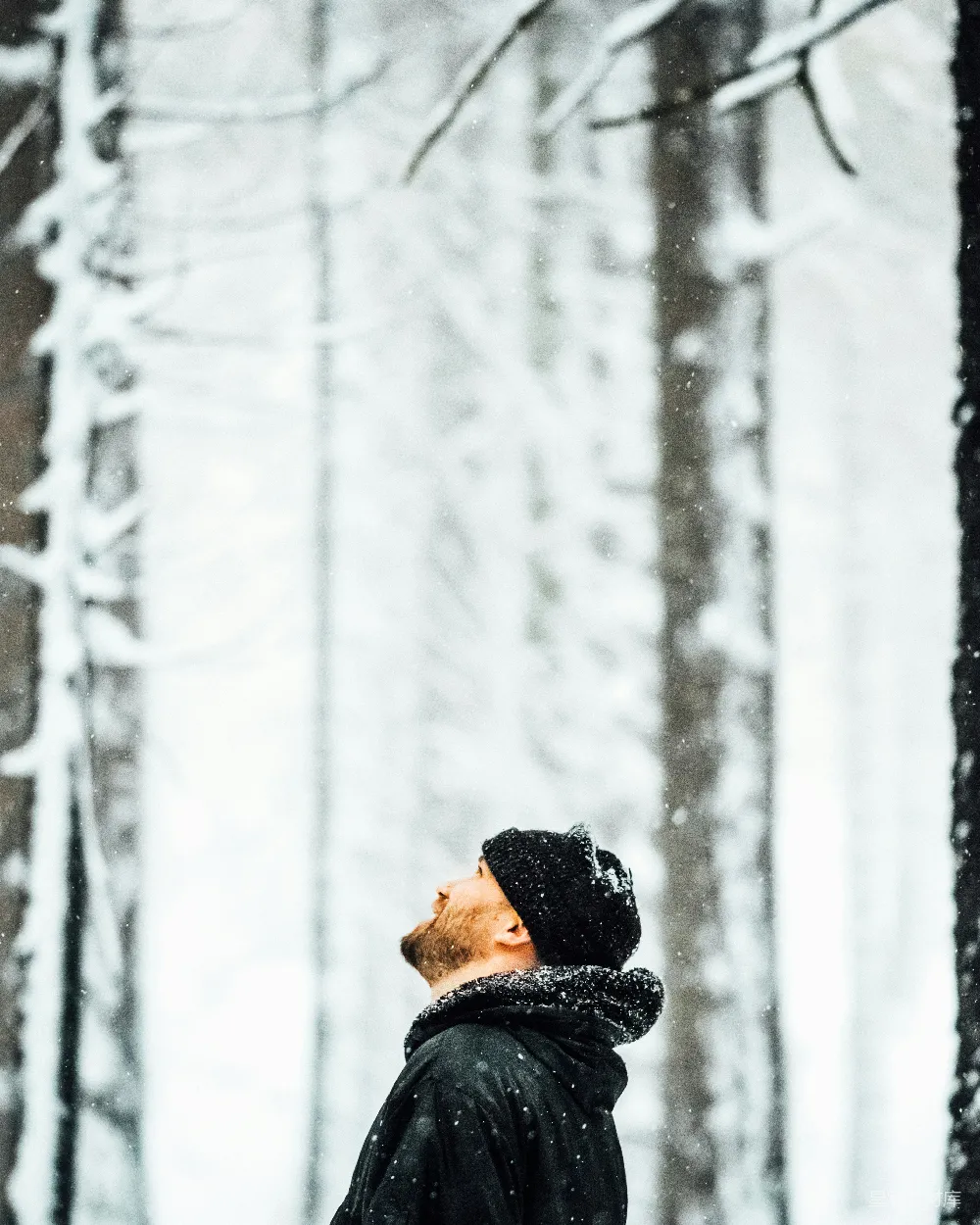 高清摄影 冬季 自然 沉思 人物 雪景 冬日森林中的沉思者