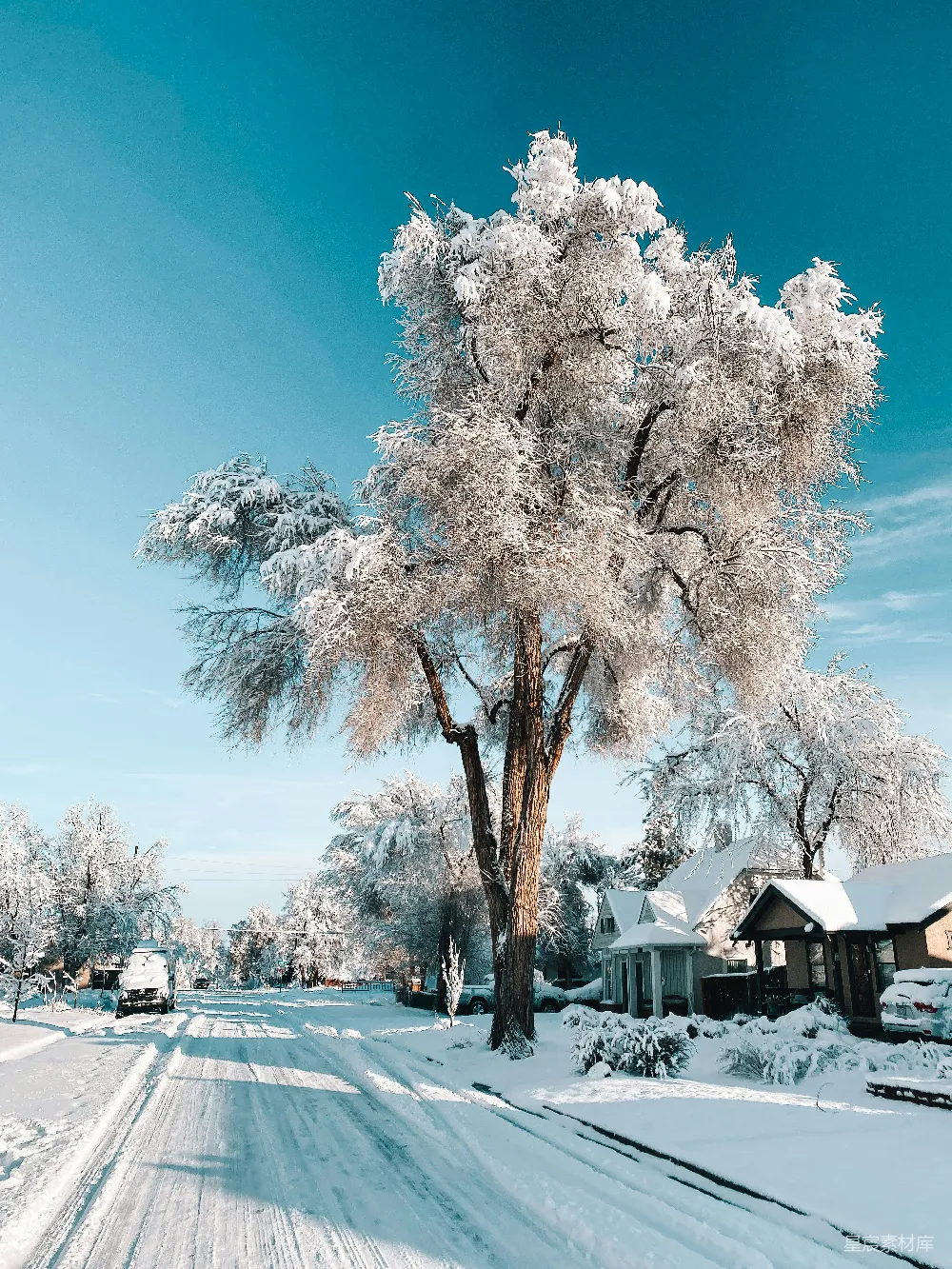 高清摄影 雪景 冬季 宁静 自然 乡村 雪后的宁静小镇