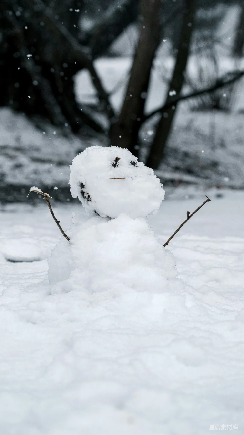 高清摄影 雪人 冬季 自然 童趣 户外 冬日里的雪人