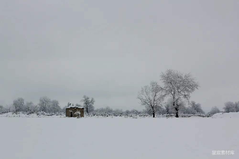 高清摄影 冬景 雪景 乡村 宁静 自然 冬日雪景中的小屋