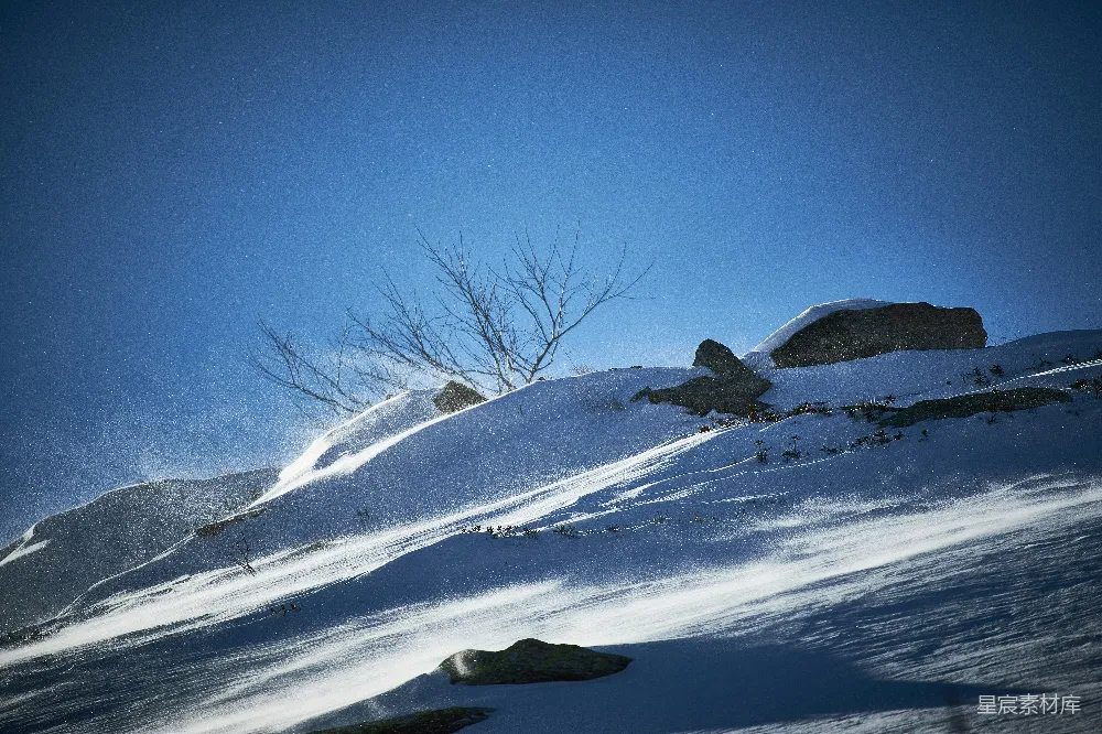 高清摄影 雪地 自然风光 冬季 宁静 风景 雪地里的冬日静谧