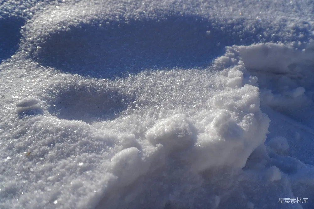 高清摄影 雪地 自然 足迹 冬季 户外 雪地上的自然足迹