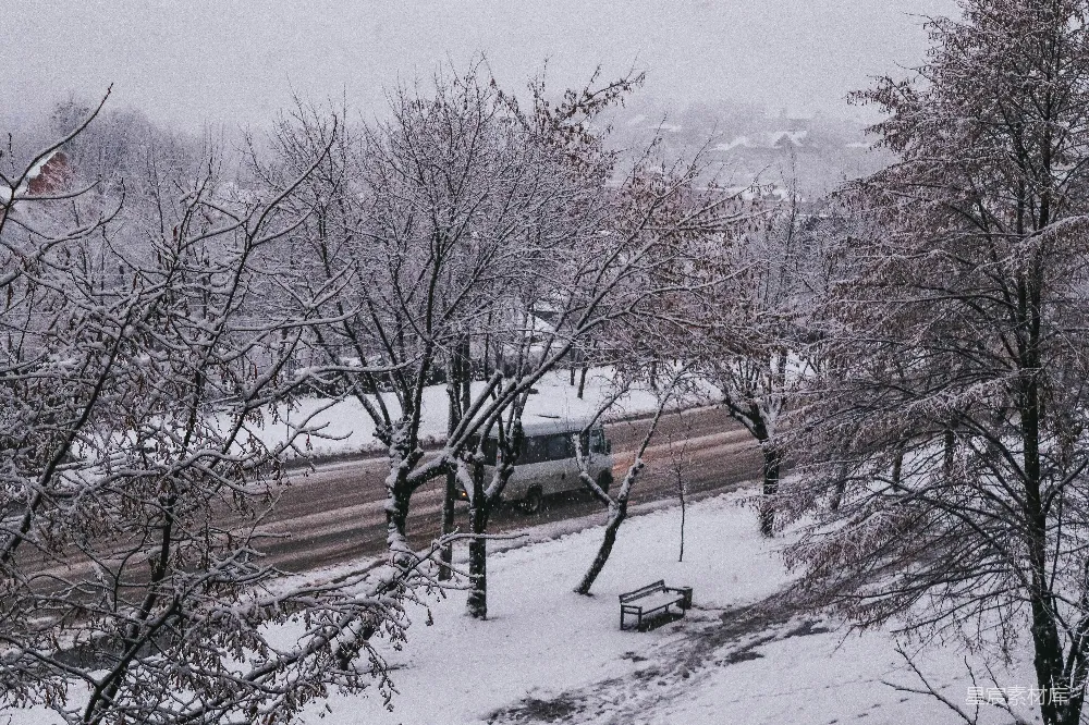 高清摄影 雪景 冬季 宁静 街道 树木 冬日雪景中的宁静街道