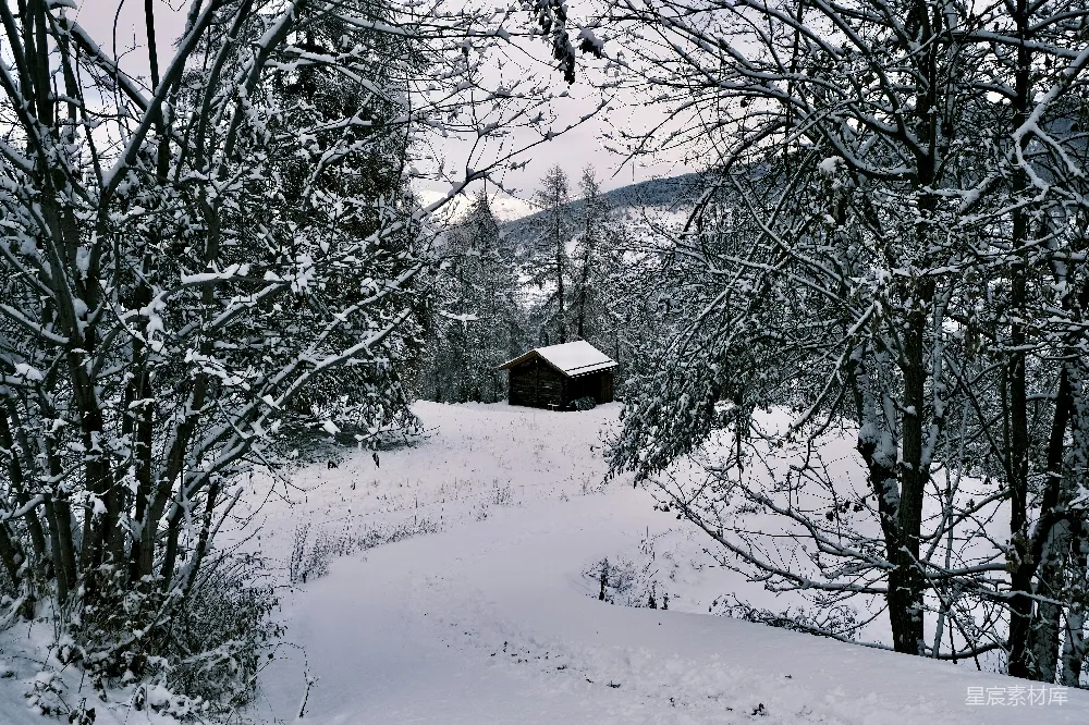 高清摄影 雪景 木屋 宁静 自然 冬季 雪景中的木屋