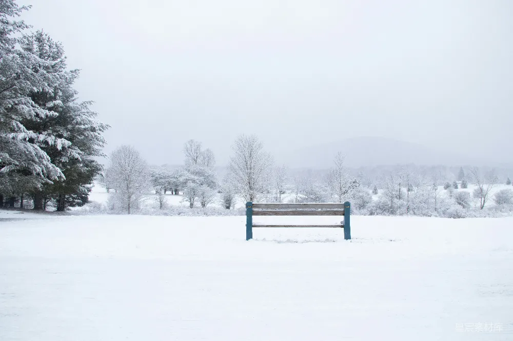 高清摄影 雪景 冬季 宁静 自然 户外 雪景中的孤独长椅