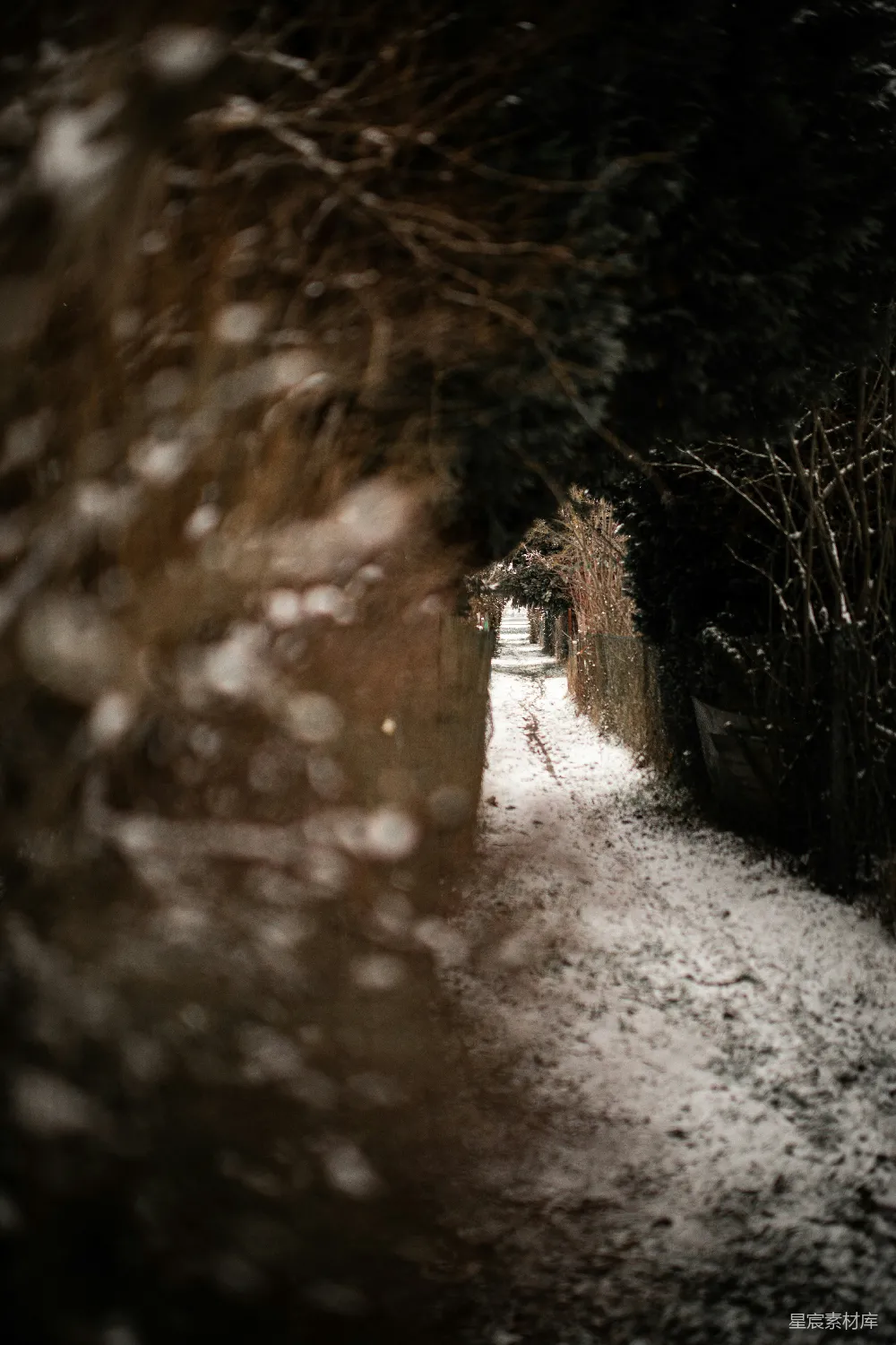 高清摄影 冬日 小径 雪景 宁静 自然 冬日小径