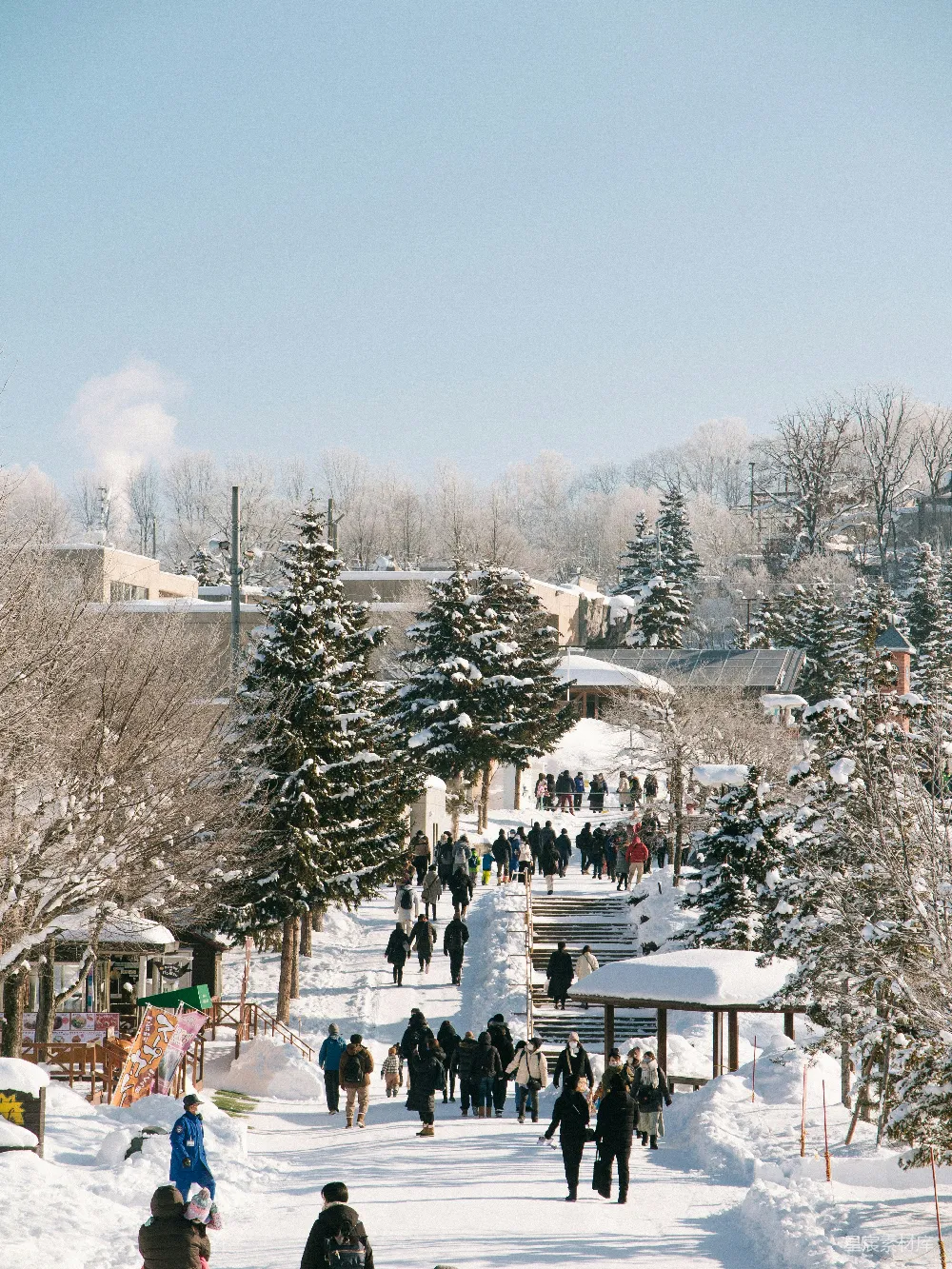 高清摄影 雪景 冬季 休闲 自然风光 户外活动 雪景中的冬季休闲乐园