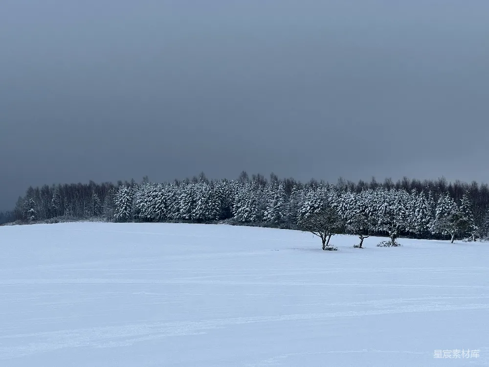 高清摄影 雪地 冬季 自然风光 宁静 户外 冬日雪地风景