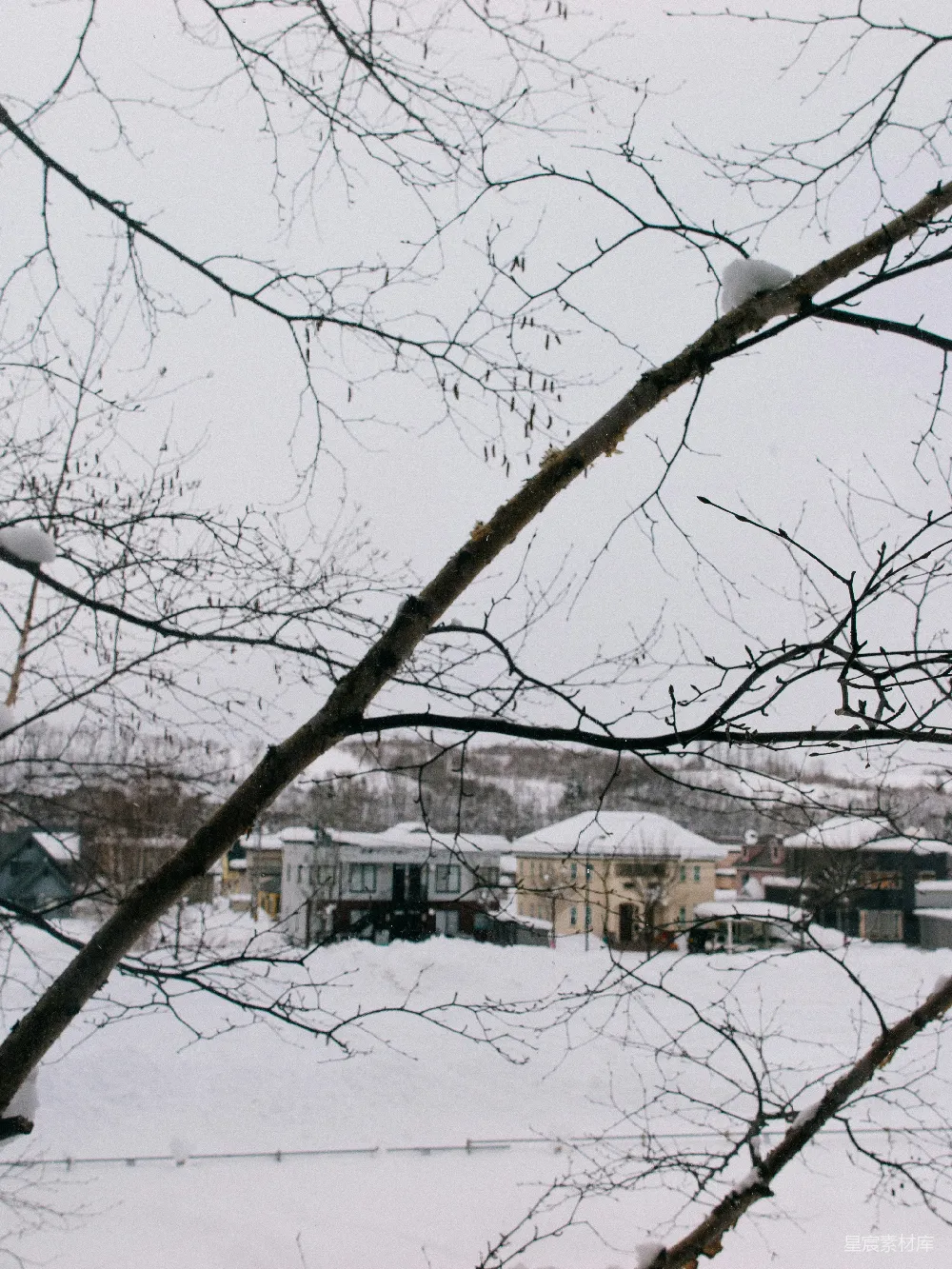高清摄影 雪景 树枝 房屋 冬季 自然 冬日雪景中的树枝与房屋
