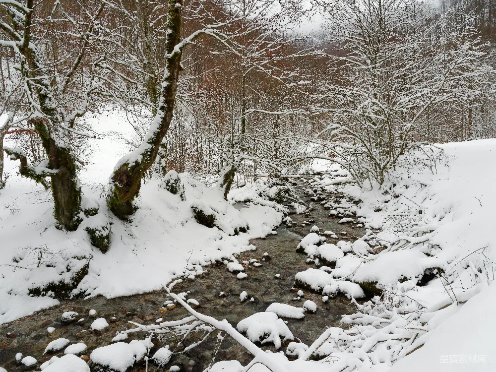 高清摄影 雪景 河流 自然 冬季 宁静 冬日雪景中的小溪