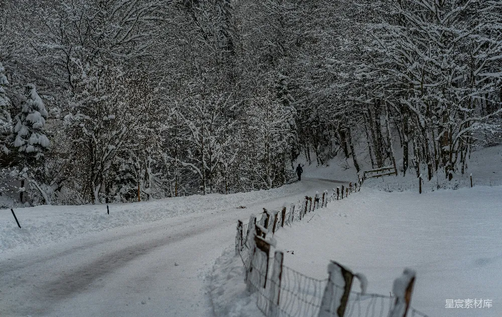 高清摄影 冬日 雪景 孤独 自然 旅行 冬日雪景中的孤独旅人