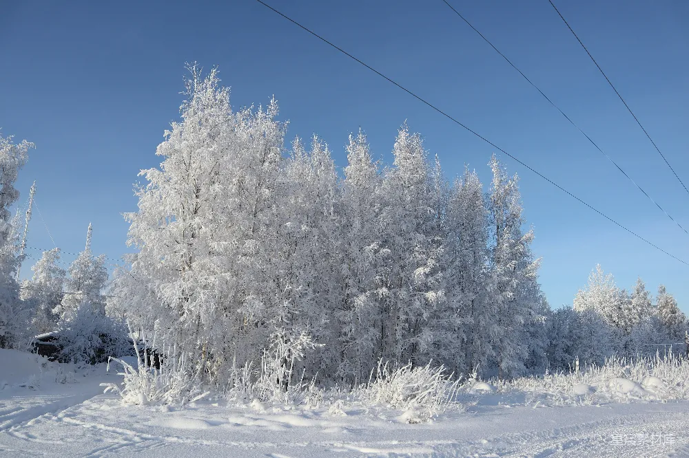 高清摄影 冬景 雪景 冰挂 自然风光 寒冷 冬日雪景与冰挂树木
