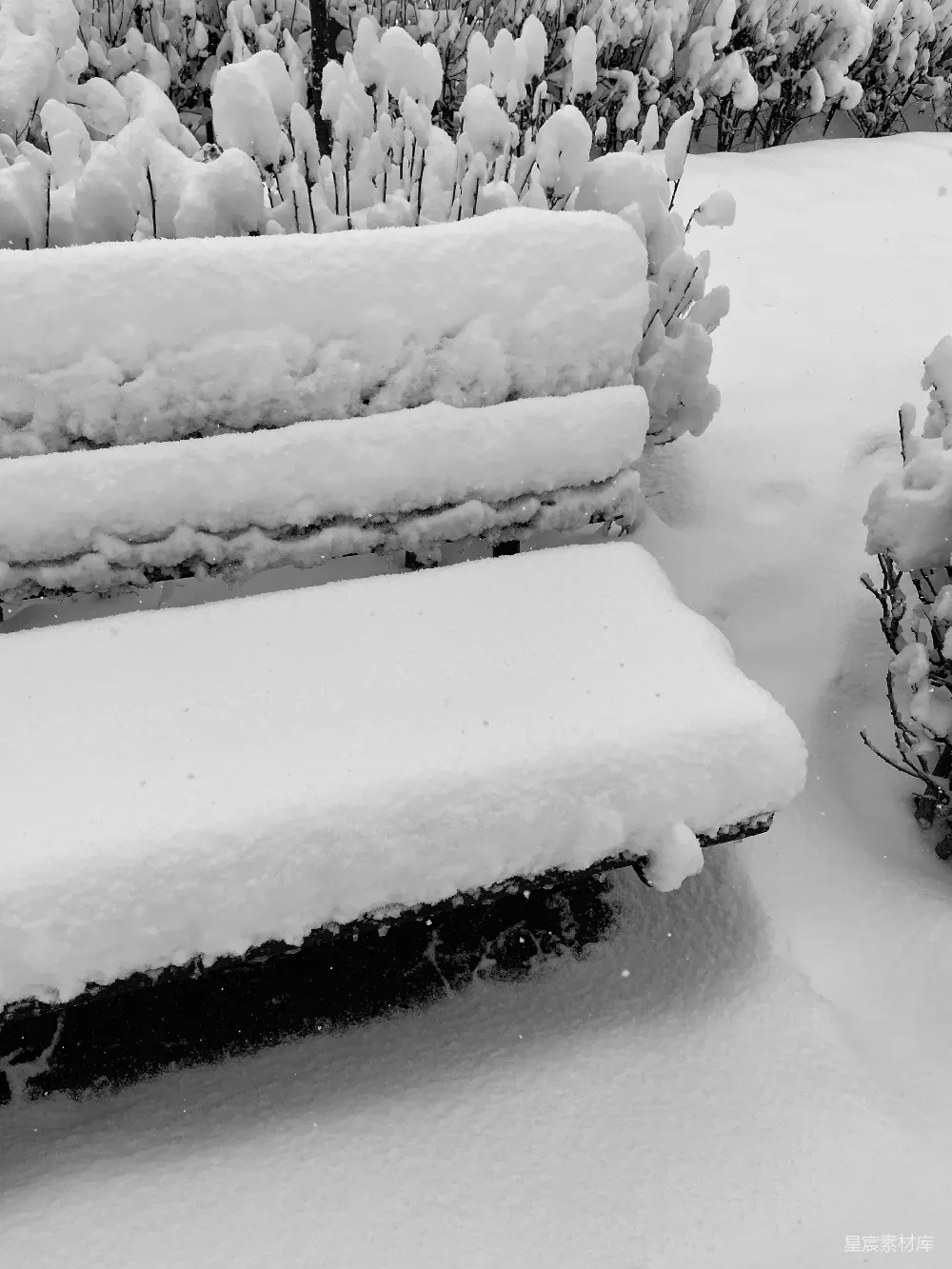 高清摄影 雪景 冬日 静谧 自然 户外 雪中的长椅