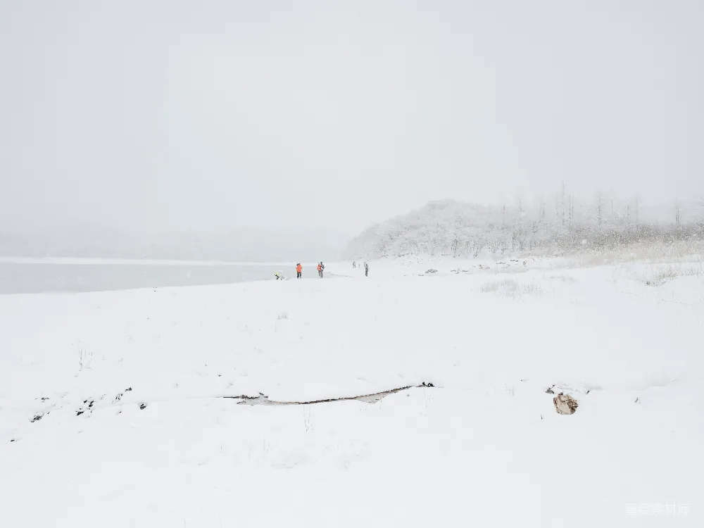 高清摄影 雪景 湖畔 冬季 自然风光 休闲 雪中的宁静湖畔