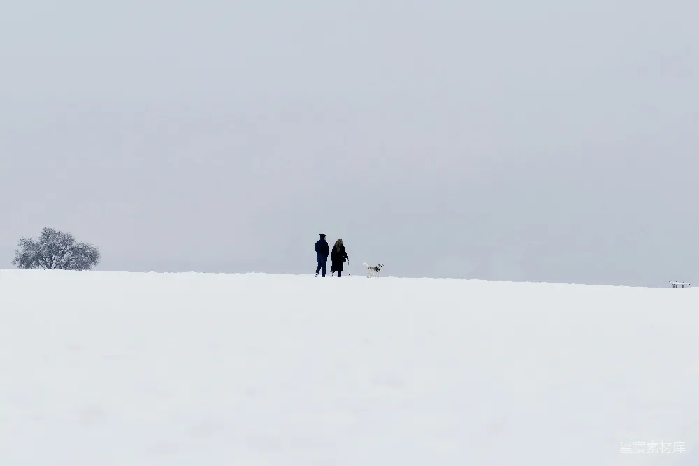 高清摄影 雪景 冬季 自然 宁静 户外 雪地漫步