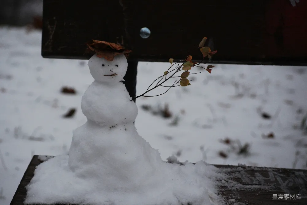 高清摄影 雪人 冬季 户外 自然 趣味 雪地里的小雪人