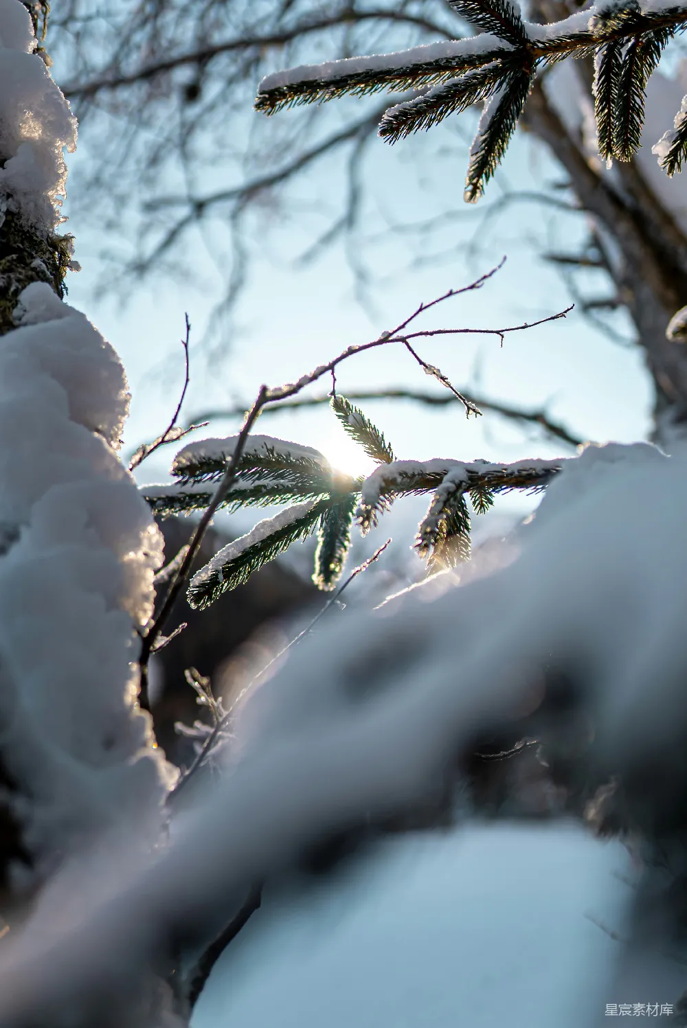 高清摄影 冬日 雪景 自然 阳光 宁静 冬日阳光下的雪景