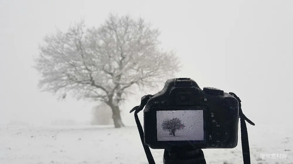 高清摄影 雪景 自然风光 摄影 冬季 户外 雪地里的树与相机