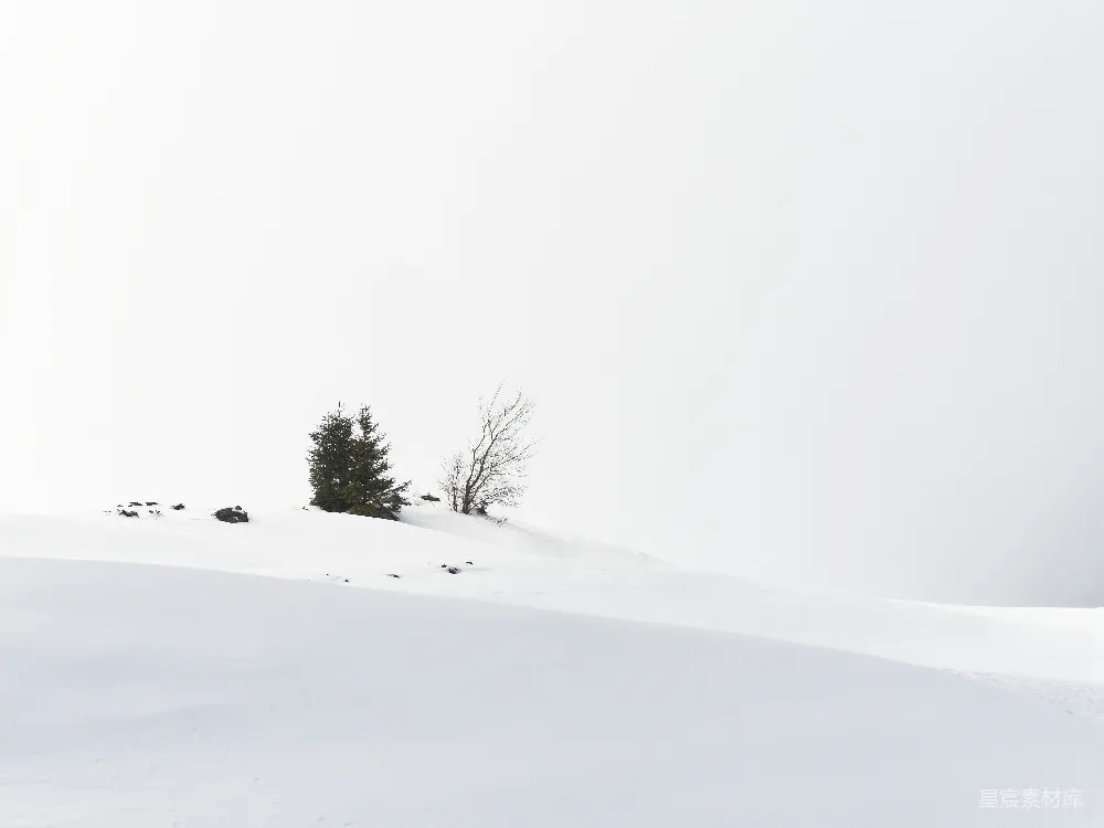 高清摄影 雪景 自然 冬季 孤独 宁静 雪地中的孤树