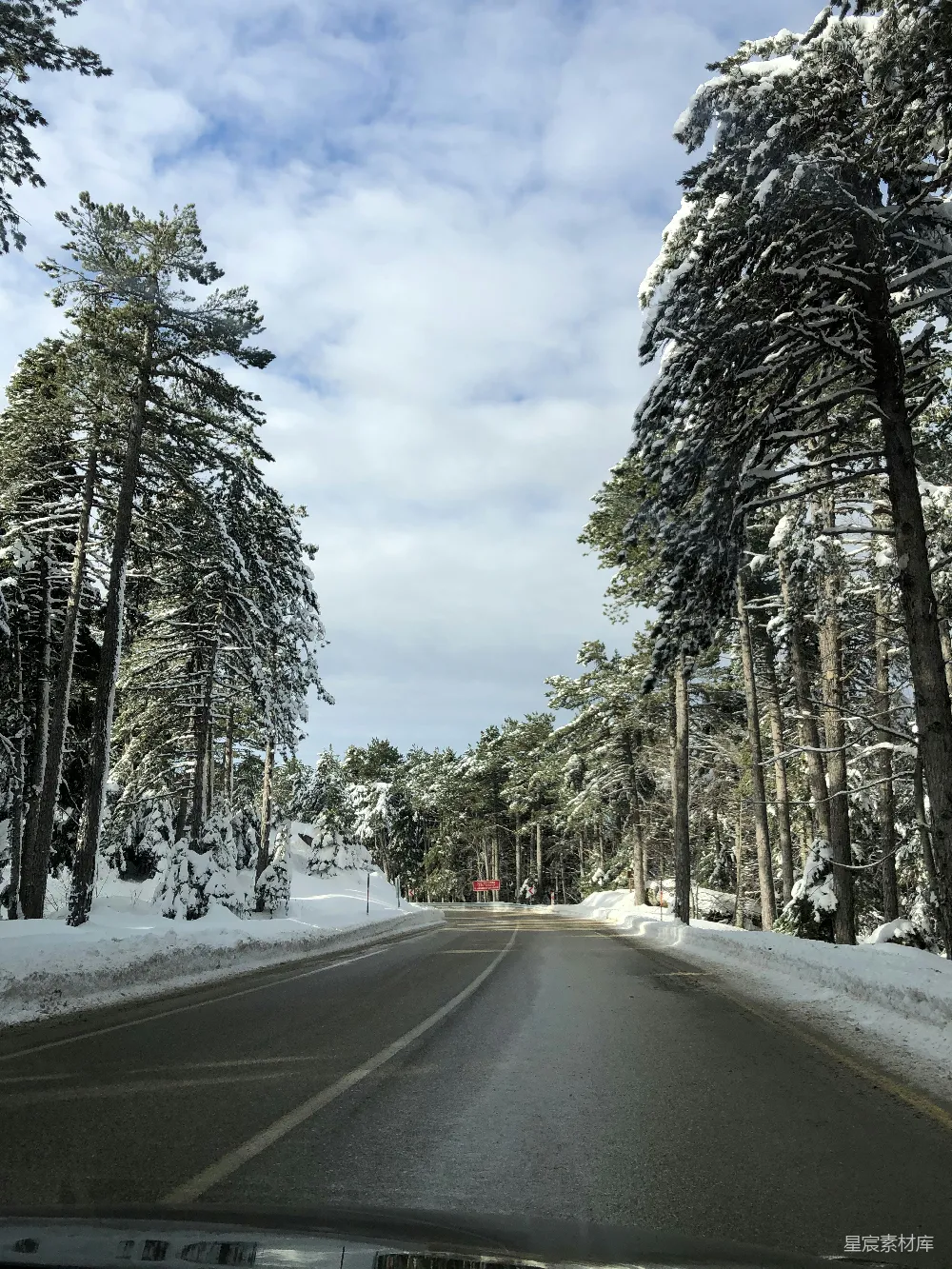 高清摄影 冬季 雪景 森林 道路 宁静 冬日雪景中的蜿蜒山路