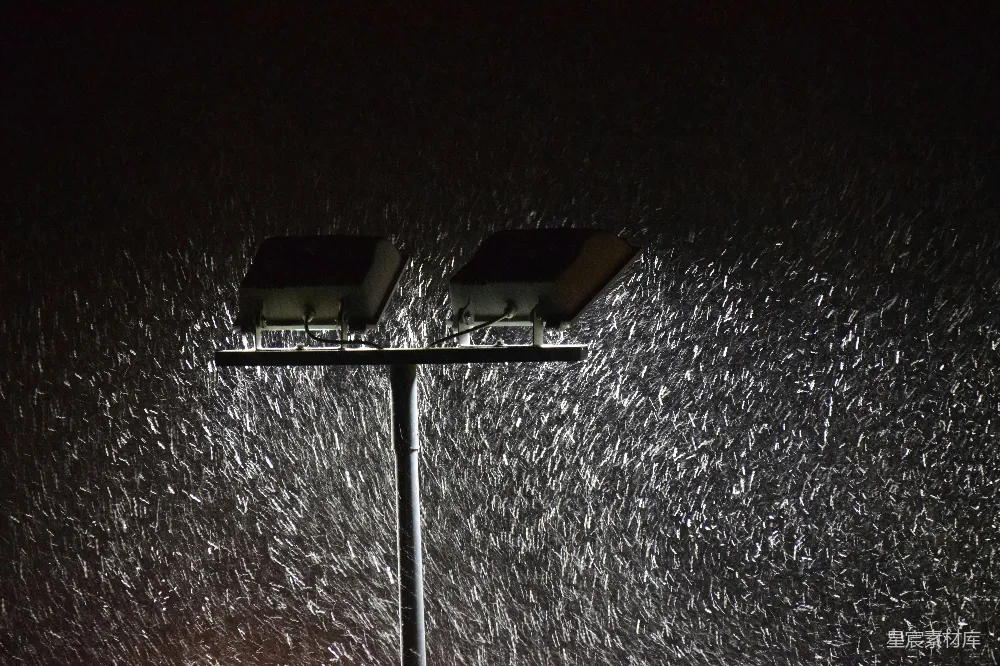高清摄影 雨夜 路灯 城市 自然 夜晚 夜雨中的路灯