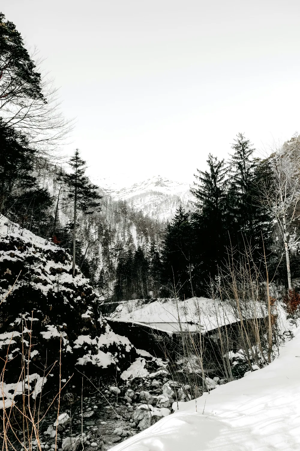 高清摄影 自然风光 冬季 山林 小溪 雪景 冬日山林小溪