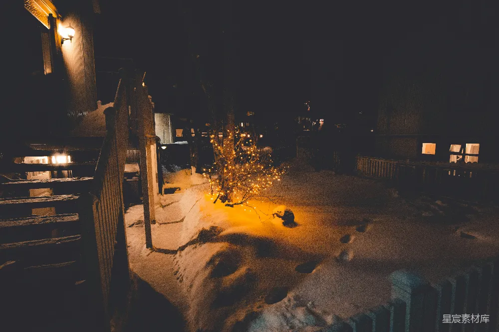 高清摄影 冬夜 小树 灯光 雪景 宁静 冬夜里的小树与灯光