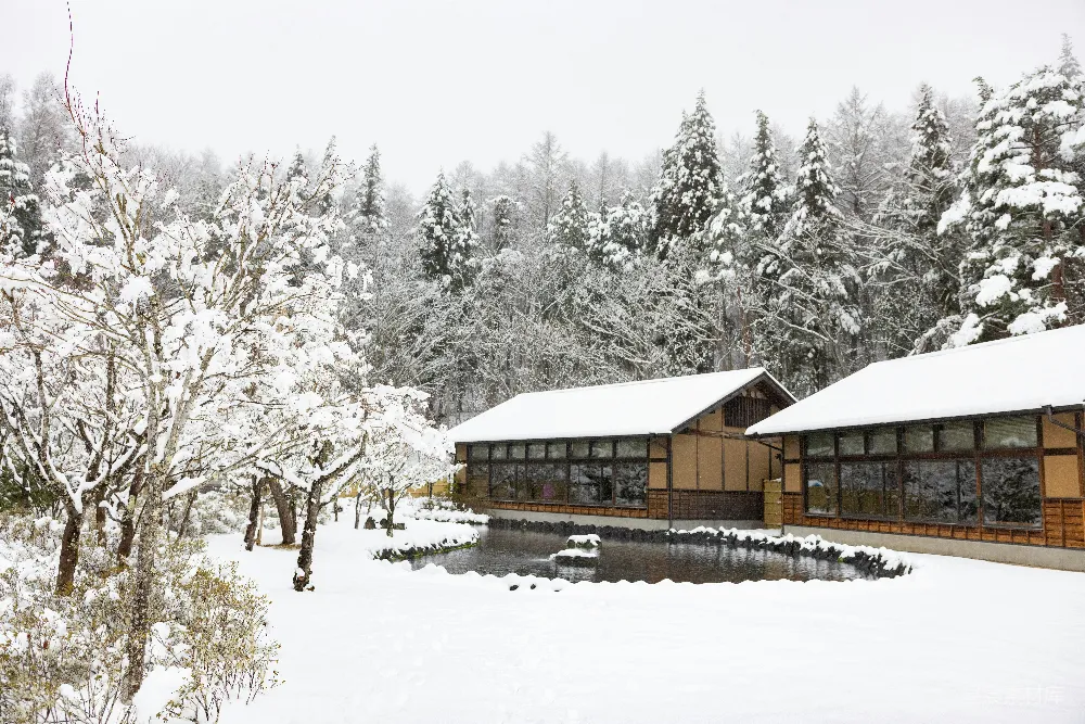 高清摄影 雪景 日式建筑 传统风格 冬季 自然风光 雪景中的传统日式建筑