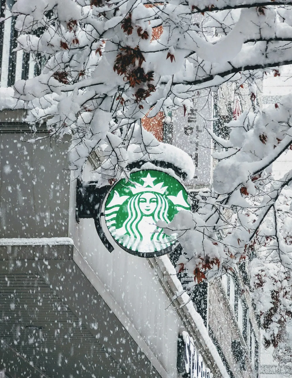 高清摄影 雪景 星巴克 冬季 咖啡店 城市 雪中的星巴克