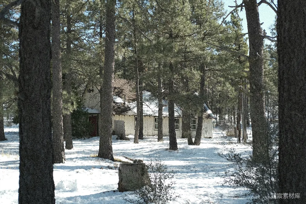 高清摄影 冬景 雪地 小屋 自然 宁静 冬日林间小屋