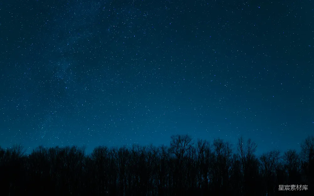 高清摄影 夜空 星空 森林 宁静 自然 夜空下的森林