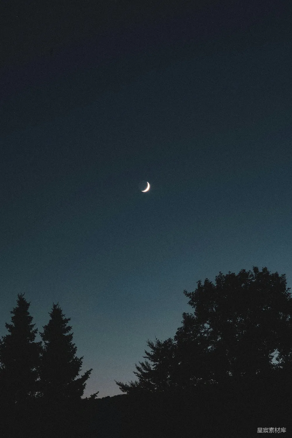 高清摄影 夜景 月亮 自然 宁静 树木 夜空中的新月与树影