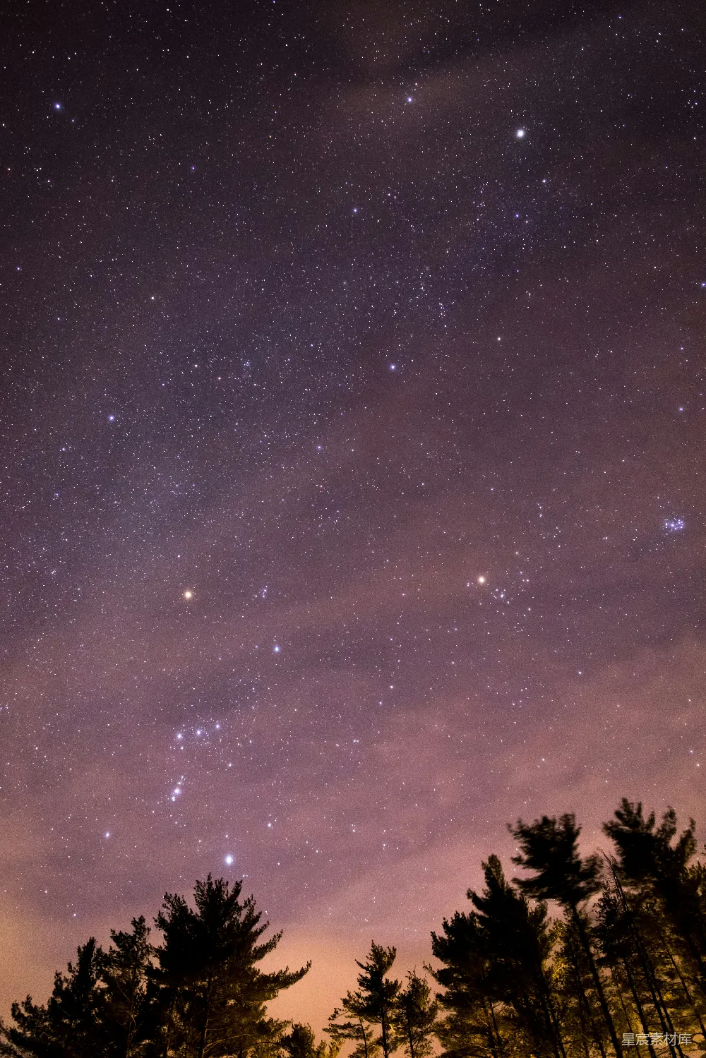 高清摄影 星空 自然 宁静 森林 夜晚 夜空下的星河