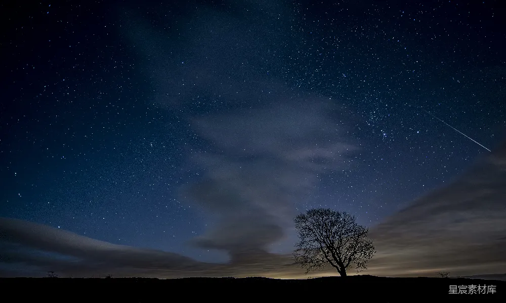 高清摄影 夜景 星空 孤独 自然 宁静 孤独的树与星河