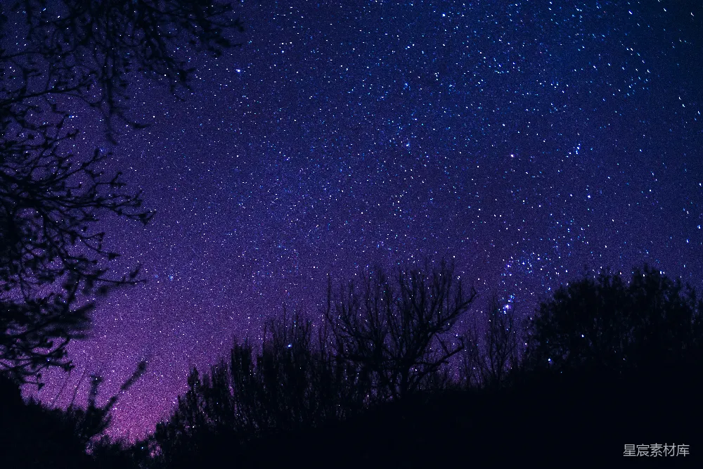 高清摄影 星空 夜景 自然 静谧 宁静 夜空下的树影