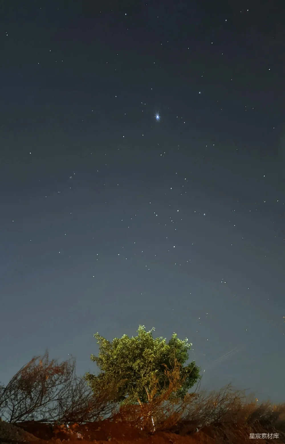 高清摄影 星空 夜景 自然 宁静 户外 星空下的静谧夜晚