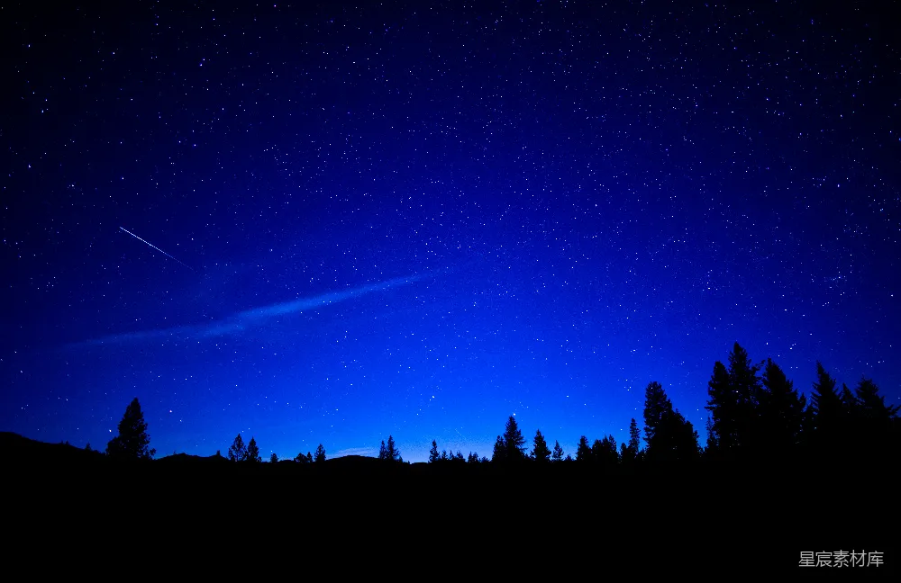 高清摄影 夜空 流星 森林 宁静 自然 夜空下的流星与森林