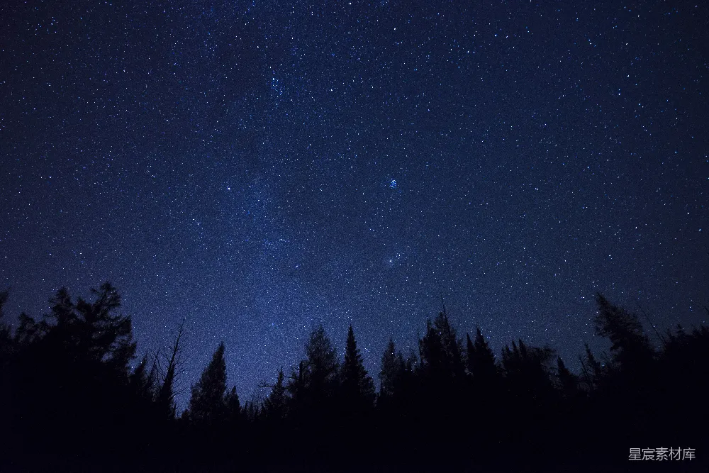 高清摄影 夜空 星星 森林 静谧 自然 夜空下的森林剪影