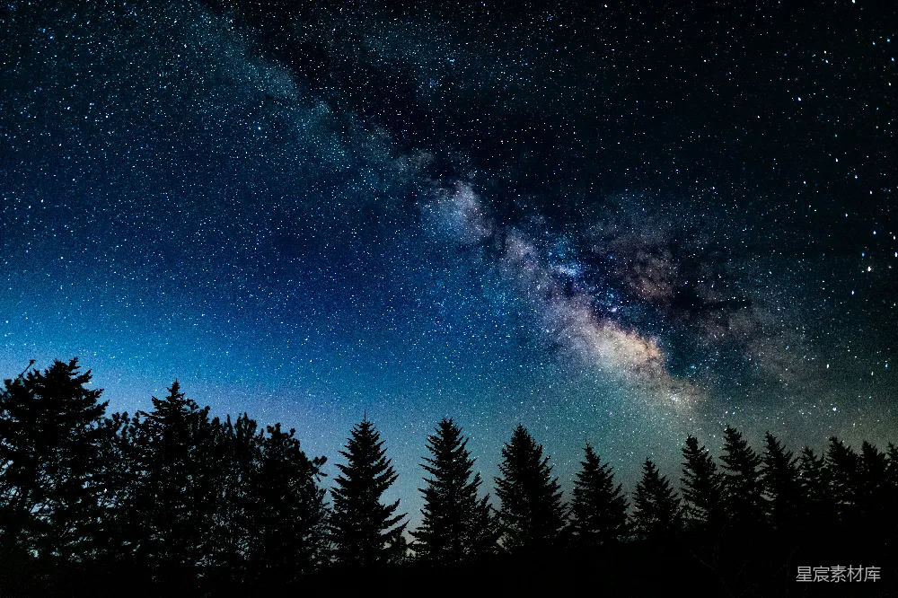 高清摄影 夜空 银河 森林 宁静 自然 夜空中银河与松林的静谧