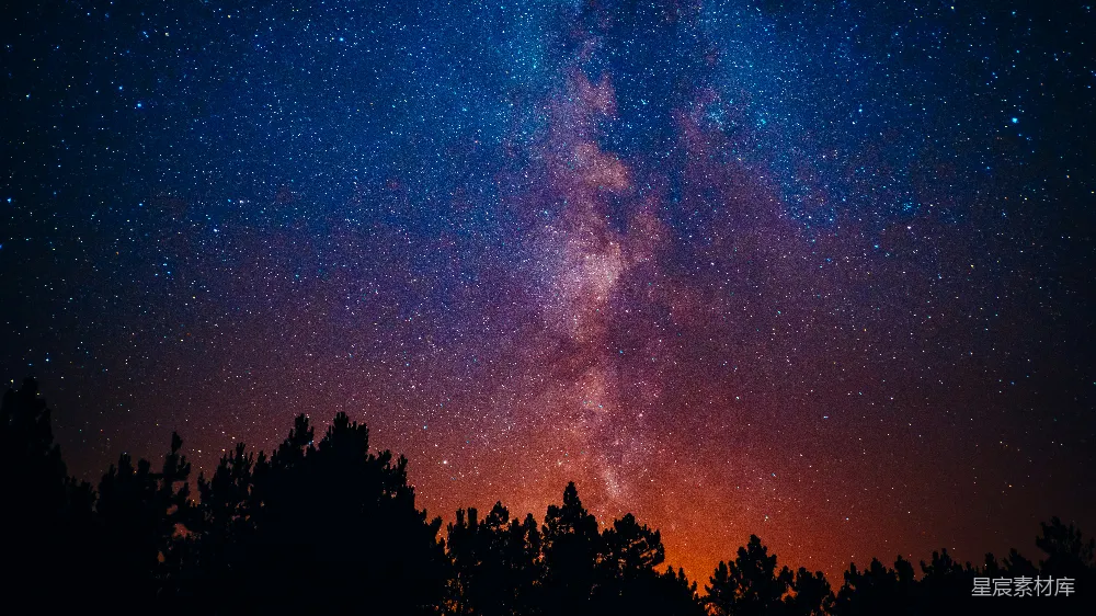高清摄影 星空 夜景 自然 宁静 梦幻 星空下的树梢