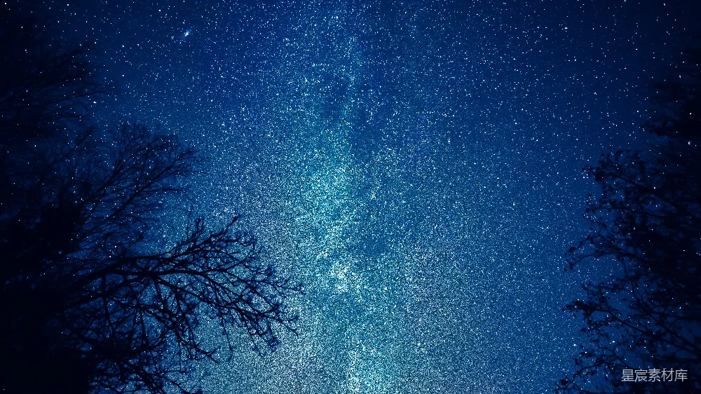 高清摄影 夜空 星星 树影 宁静 自然 夜空下的繁星与树影