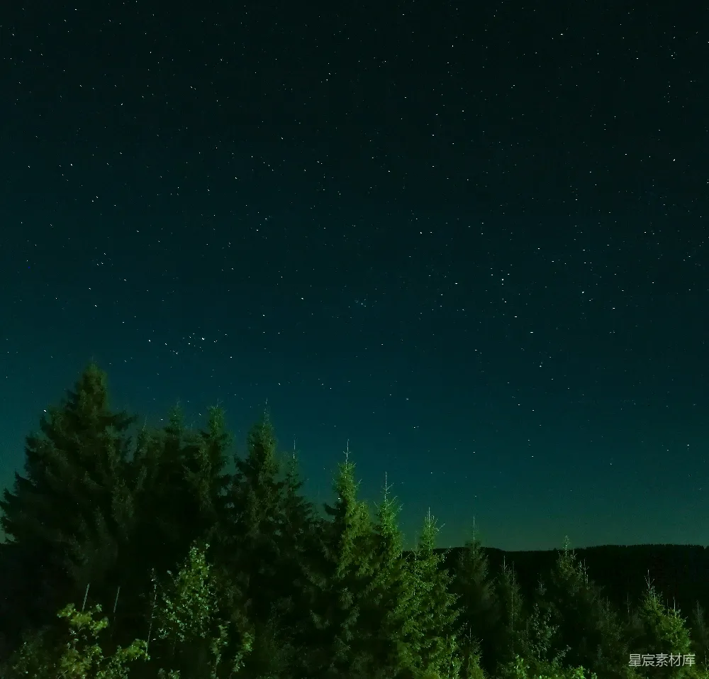 高清摄影 夜景 星空 森林 宁静 自然 夜空中闪烁的星星与森林
