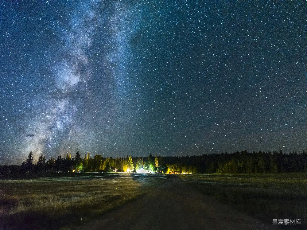 高清摄影 夜景 星空 森林 宁静 自然 星空下的宁静森林