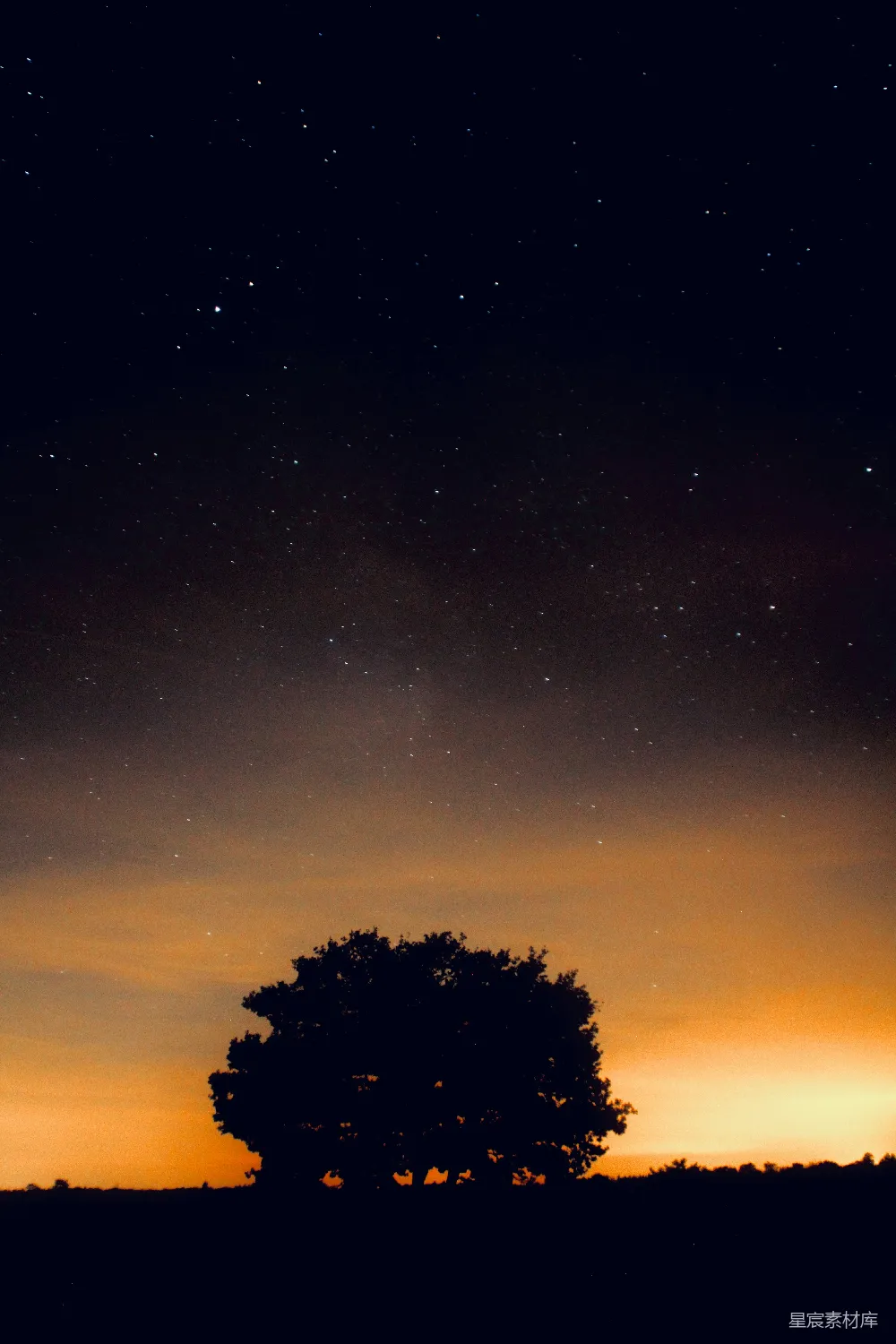 高清摄影 夜景 星空 树 宁静 自然 夜空中的一棵树