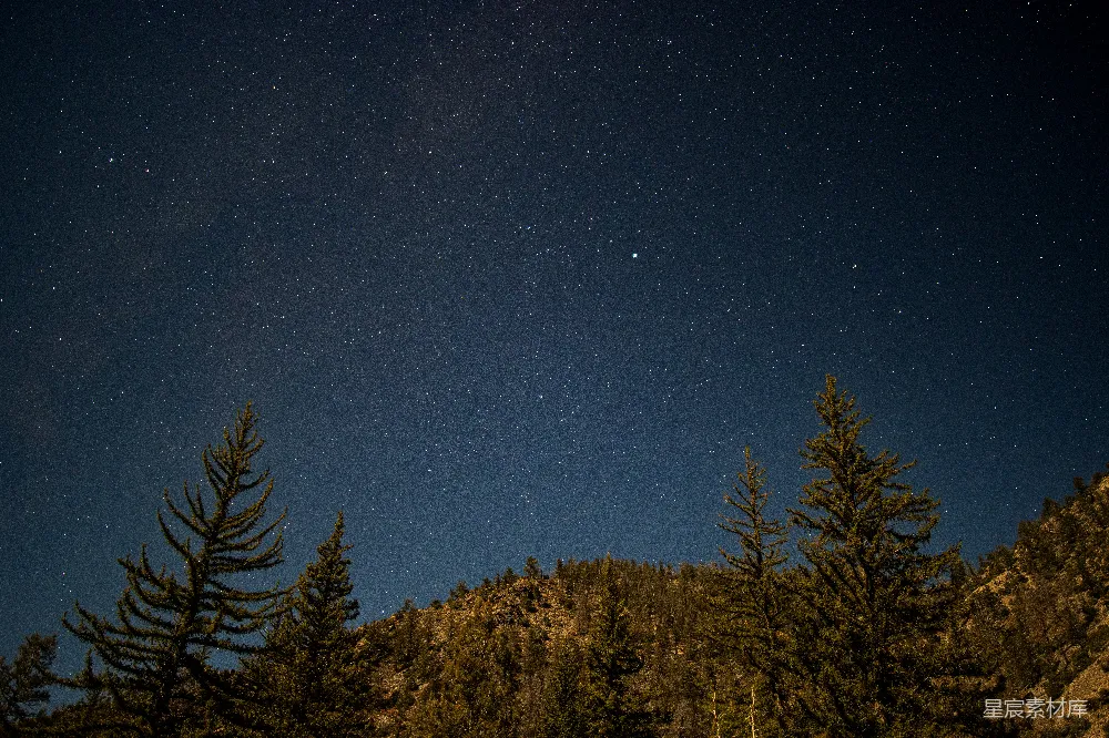 高清摄影 夜空 森林 星空 宁静 自然 星空中静谧的森林