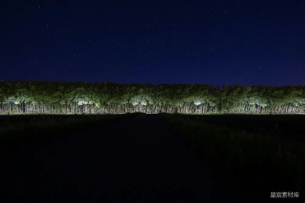 高清摄影 夜晚 森林 小径 星空 宁静 夜幕下的森林小径