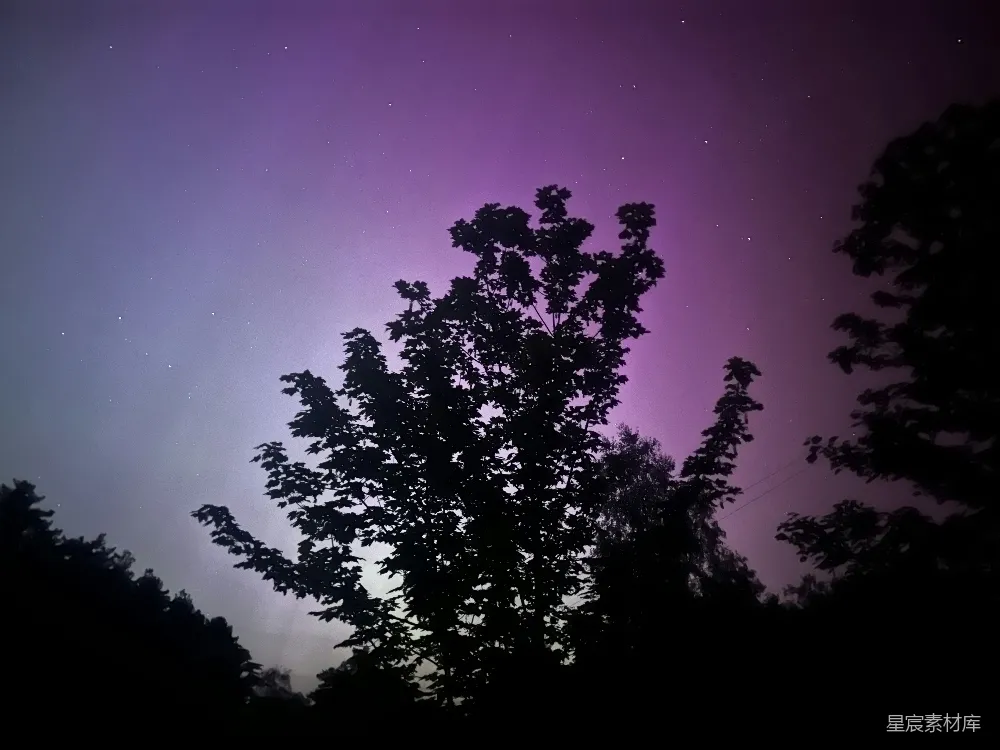 高清摄影 夜景 星空 树影 宁静 自然 夜空下的树影