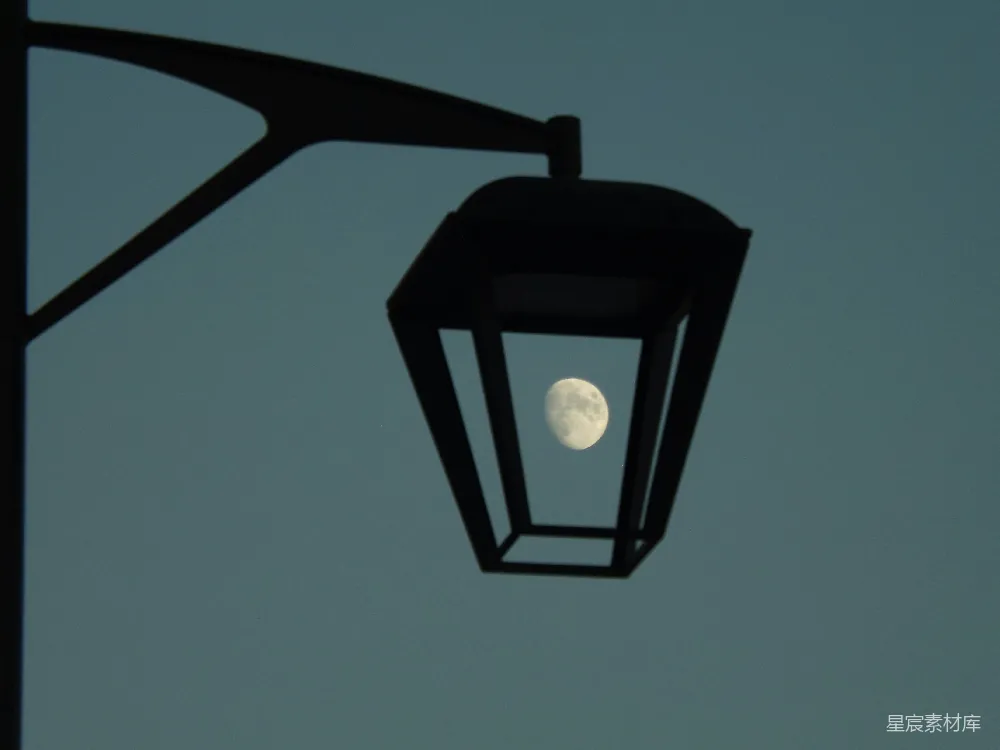 高清摄影 路灯 月亮 夜景 城市风光 静谧 路灯与夜空中的月亮