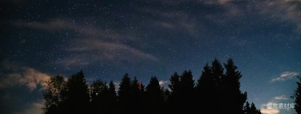 高清摄影 夜景 星空 自然 宁静 浪漫 夜空下的森林